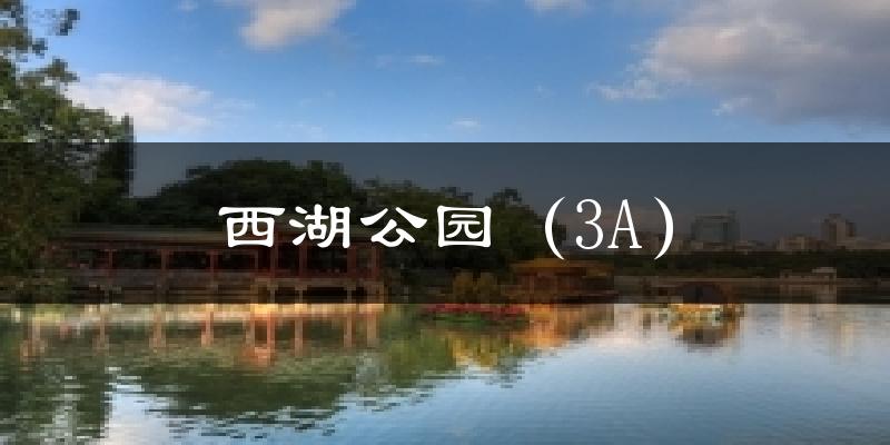 西湖公园（3A）天气预报十五天