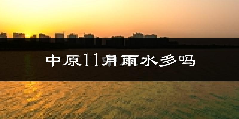 中原11月雨水多吗?