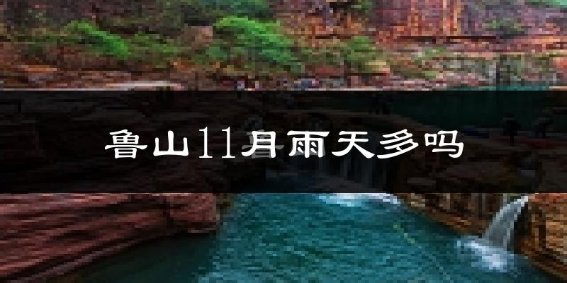 鲁山11月雨天多吗?