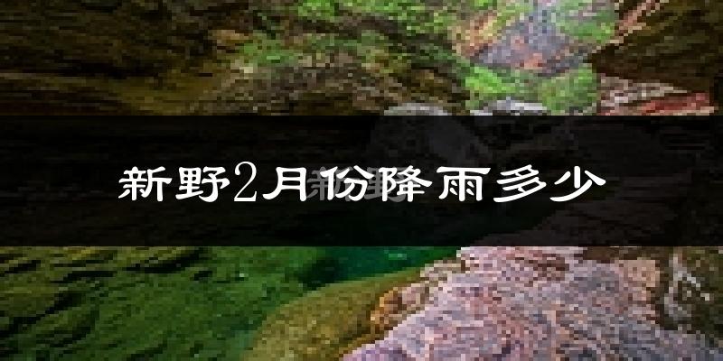 新野2月份降雨多少?