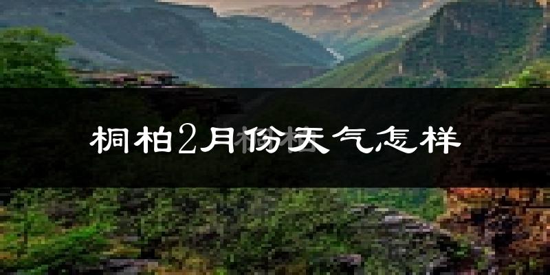 桐柏县2月份天气如何?很冷吗?