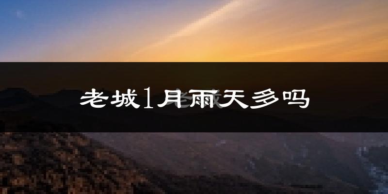 老城1月雨天多吗?