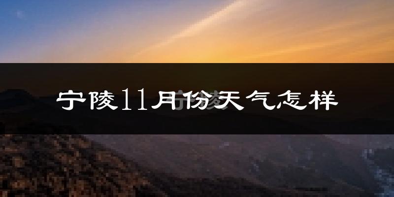 宁陵11月份天气怎样?宁陵十一月冷吗?