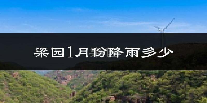 梁园1月份降雨多少?
