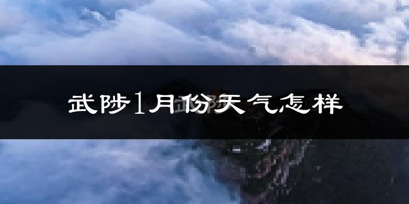 武陟县1月份天气如何?很冷吗?