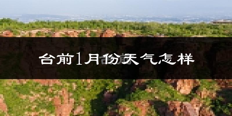 台前县1月份天气如何?很冷吗?