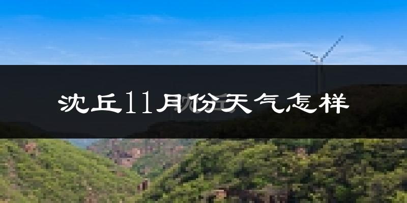 沈丘11月份天气怎样?沈丘十一月冷吗?