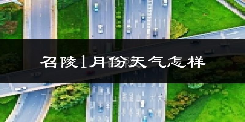 召陵1月份天气怎样?召陵一月冷吗?