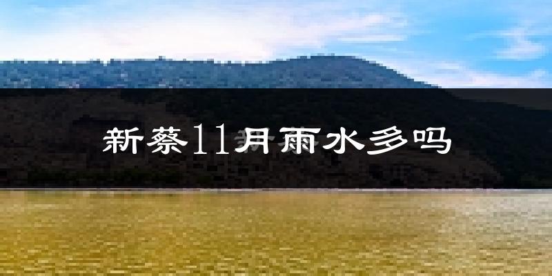 新蔡11月雨水多吗?