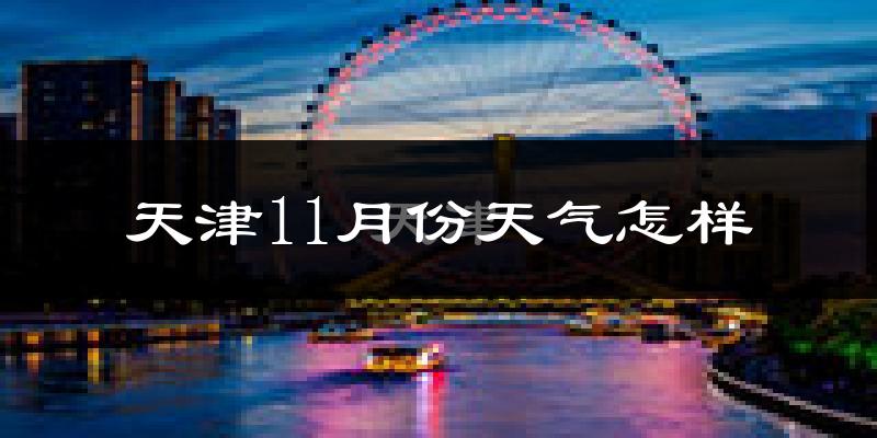 天津11月份天气怎样?天津十一月冷吗?