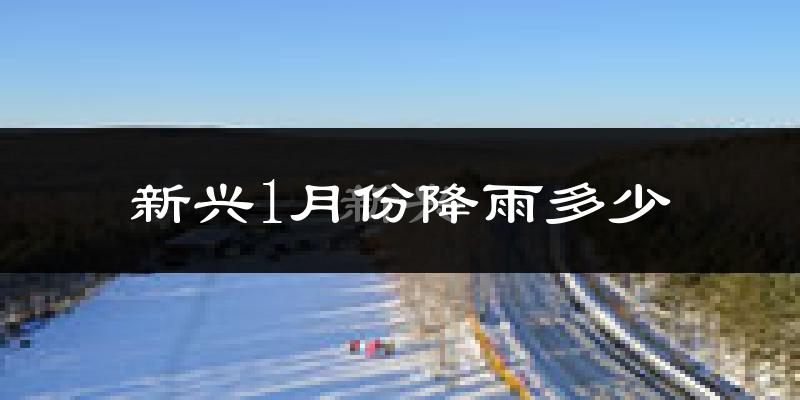 新兴1月份降雨多少?