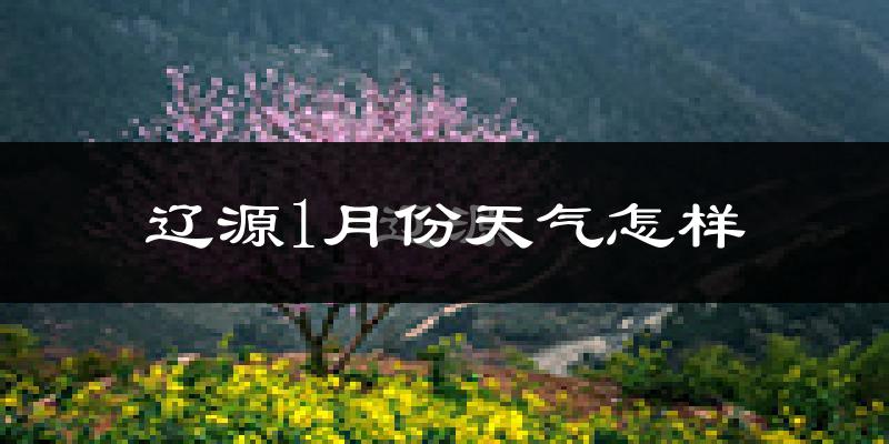 辽源市1月份天气如何?很冷吗?
