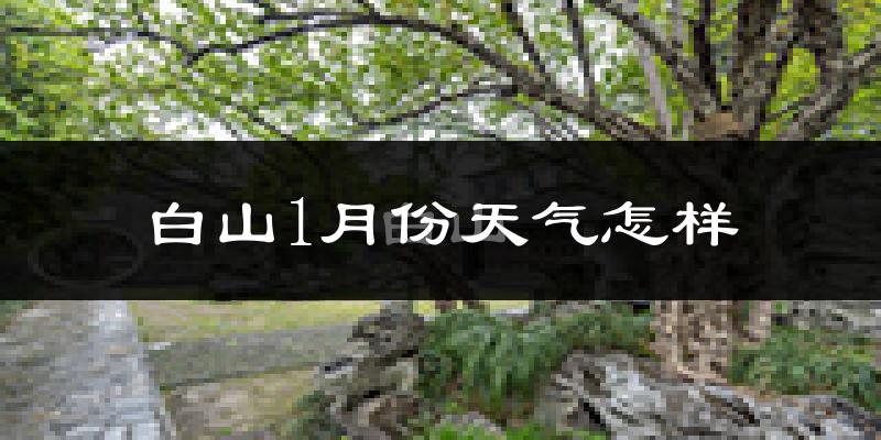 白山市1月份天气如何?很冷吗?