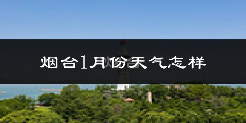 烟台市1月份天气如何?很冷吗?