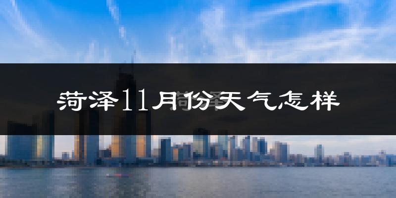 菏泽11月份天气怎样?菏泽十一月冷吗?