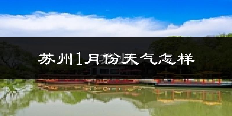 苏州1月份天气如何?很冷吗?