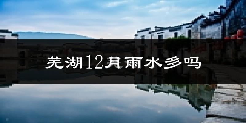芜湖12月雨水多吗?