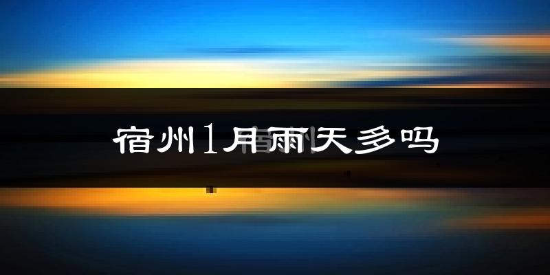 宿州1月雨天多吗?