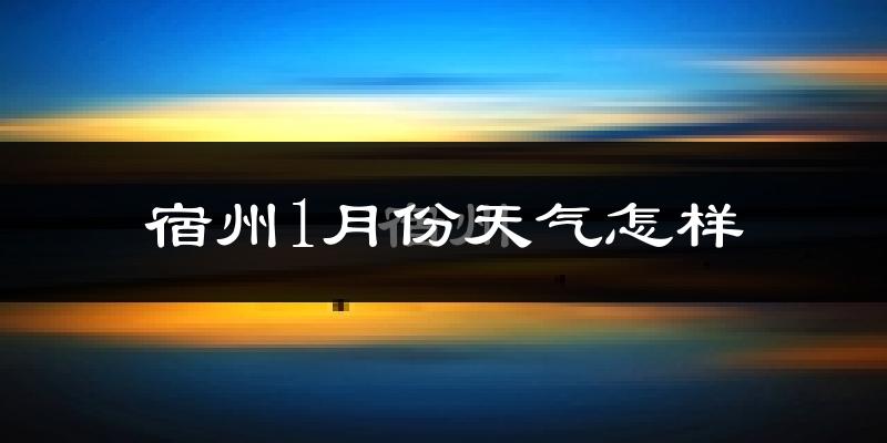 宿州市1月份天气如何?很冷吗?