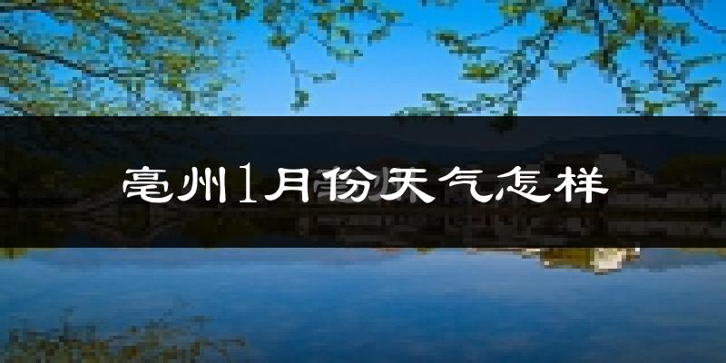 亳州1月份天气如何?很冷吗?