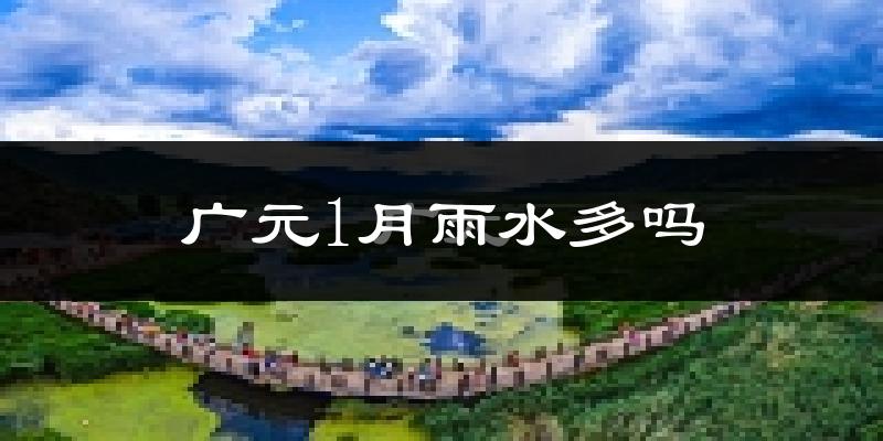 广元1月雨水多吗?