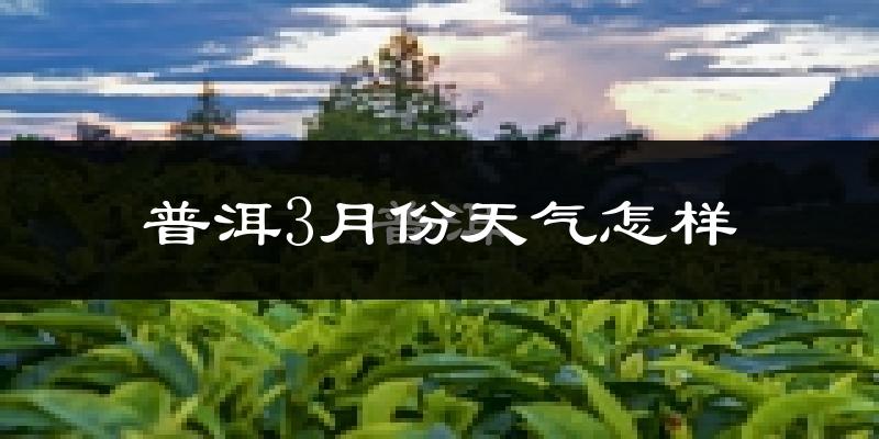 普洱市3月份天气如何?很热吗?