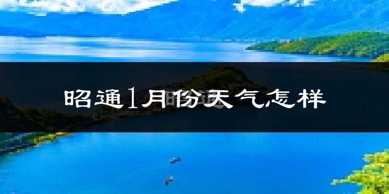 昭通市1月份天气如何?很冷吗?