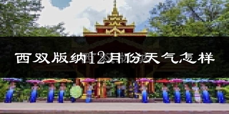 西双版纳12月份天气怎样?西双版纳十二月冷吗?