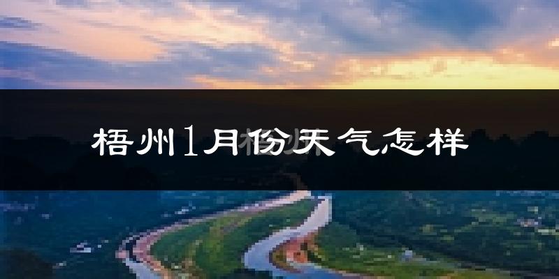 梧州市1月份天气如何?冷吗?