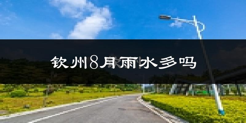 钦州8月雨水多吗?