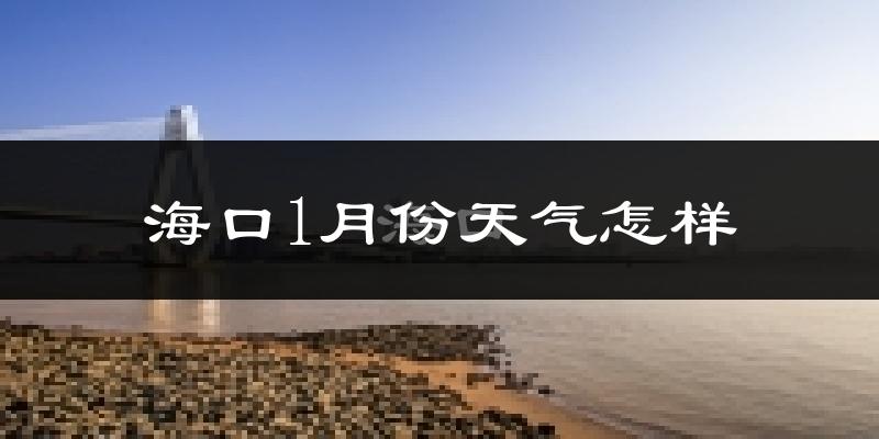 海口市1月份天气如何?冷吗?